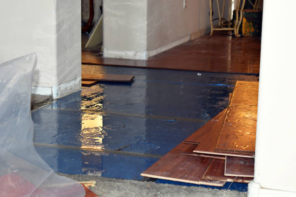 Professional Basement Water Removal technician working in West Bend, WI
