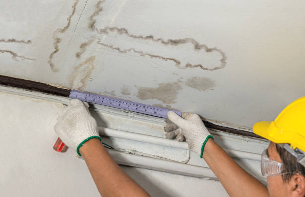 Reliable Basement Water Removal contractor in West Bend, WI by Water Damage Irwin